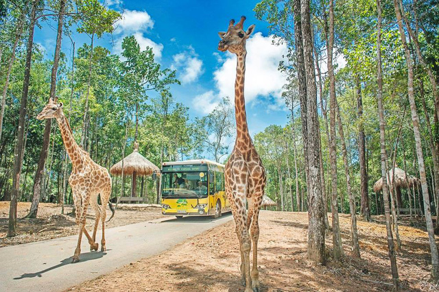 Hé lộ về dự án khu công viên vui chơi safari 1,5 tỷ USD đối diện đại đô thị VinCity Ocean Park