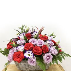 SON HỒNG