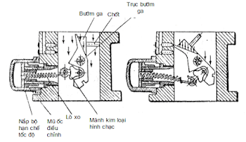 Hoạt động thiết kế chuyên dụng