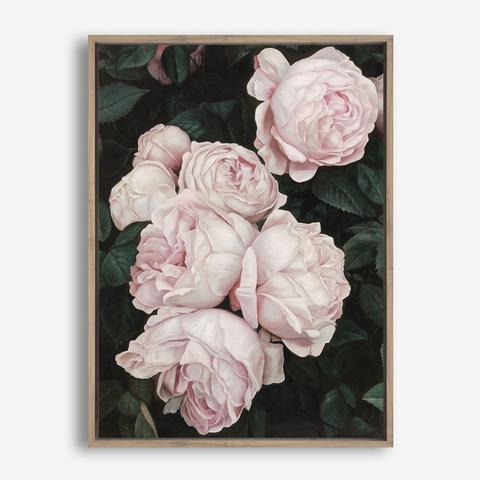 Pink in ảnh 20x40