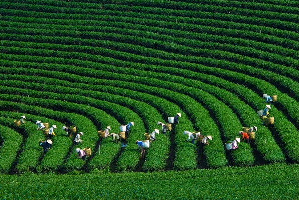5 địa điểm du lịch đẹp nhất mùa Thu-Đông Việt Nam