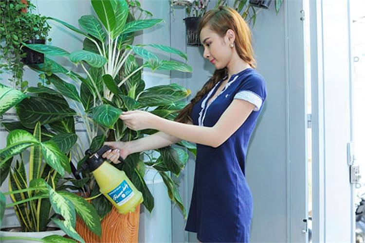 Ngày xuân nói về thú chơi cây cảnh nghệ thuật